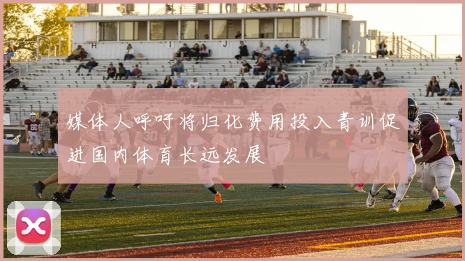 媒体人呼吁将归化费用投入青训促进国内体育长远发展